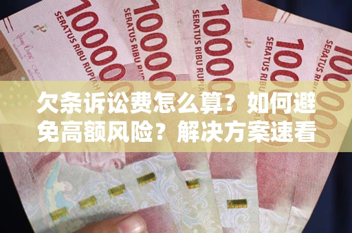 北京欠条诉讼费怎么算？如何避免高额风险？解决方案速看！