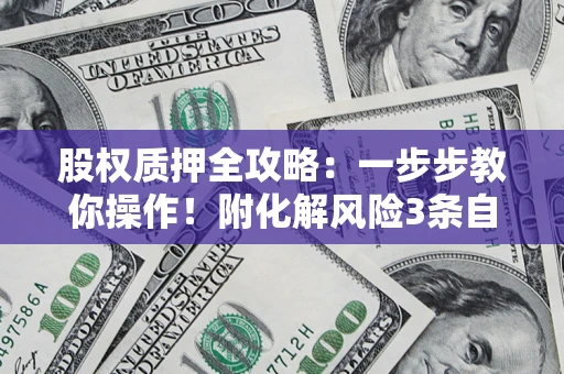 北京股权质押全攻略：一步步教你操作！附化解风险3条自救法则