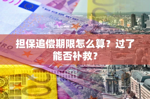 北京担保追偿期限怎么算？过了能否补救？